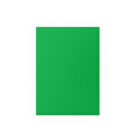 Apple Green & Silver - Matte Dual Sleeves – Dragon Shield