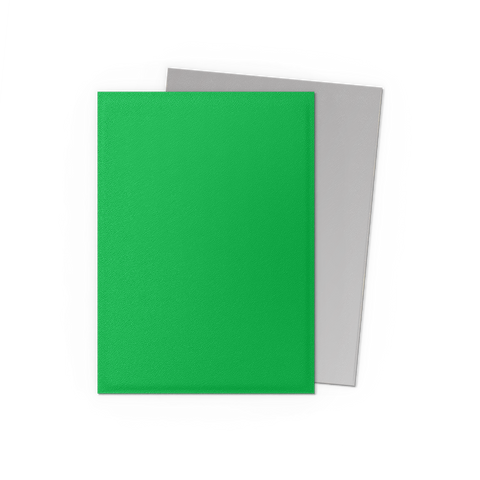 Apple Green & Silver - Matte Dual Sleeves – Dragon Shield