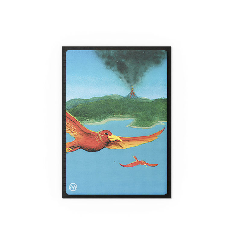 Retro Series - Birds of Paradise - Brushed Art Sleeves