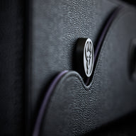 Dragon Vault - Black & Lilac
