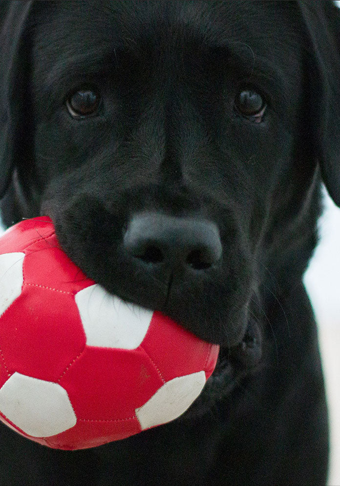 Translation missing: en.snippets.core_picture.alt_text_not_provided