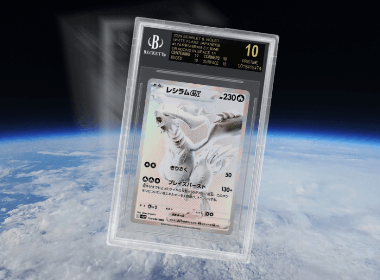 Dragons In Space Auction