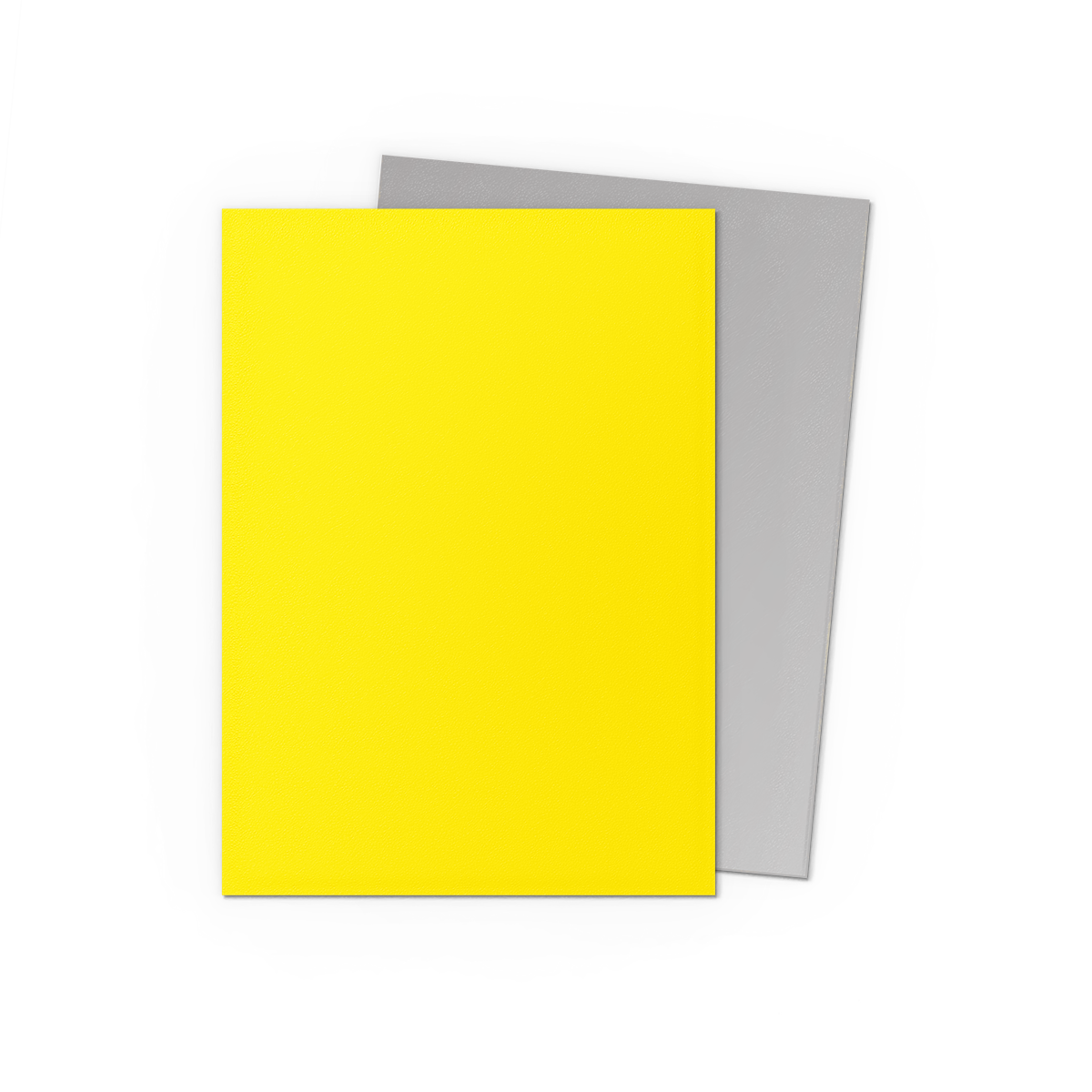 Yellow & Silver - Matte Dual Sleeves Dragon Shield Yellow & Silver - Matte Dual Sleeves Dragon Shield