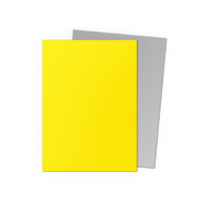Yellow & Silver - Matte Dual Sleeves