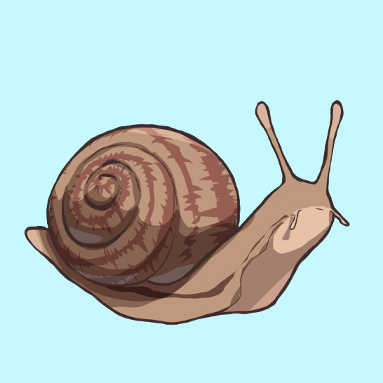 Salubrious Snail logo