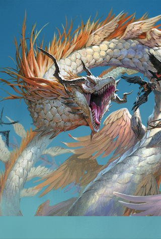 Signature Series – Dragon Shield