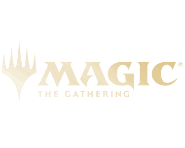 Dragon Shield MTG Banner Mtg Logo 250X200x15