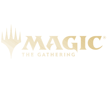 Dragon Shield MTG Banner Mtg Logo 250X200x15